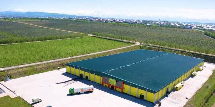 ТҮРКІСТАН ОБЛЫСЫНДА «DALA FRUIT» АГРОӨНЕРКӘСІПТІК КЕШЕНІ ТАБЫСТЫ ЖҰМЫС ІСТЕП ТҰР