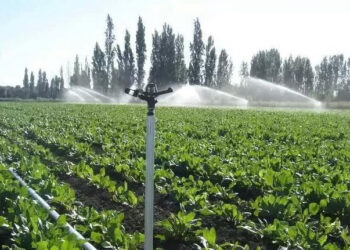 ТҮРКІСТАН: Таулы аймақта су үнемдеу технологиясы ендіріліп жатыр