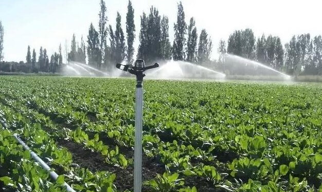 ТҮРКІСТАН: Таулы аймақта су үнемдеу технологиясы ендіріліп жатыр