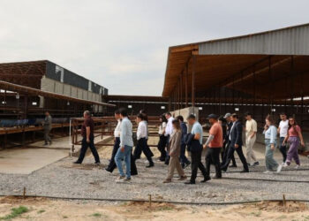 Түркістан облысының шағын өндірістік парк моделі – еліміздің индустриялық дамуына жол ашқан тиімді тәжірибе