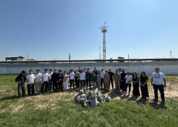 Шымкент жастары тазалық акциясына белсенді қатысты