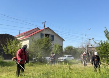 Тұран ауданында ауқымды сенбілік өтті