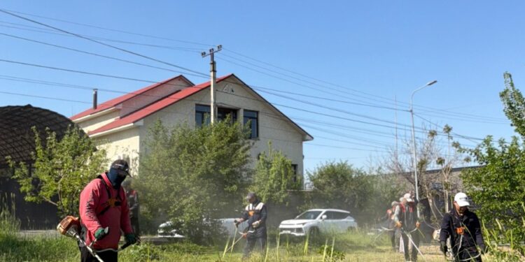 Тұран ауданында ауқымды сенбілік өтті