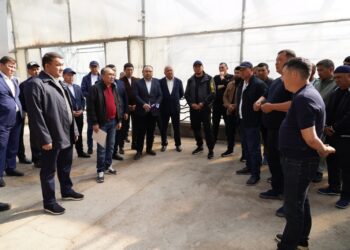 В ТУРКЕСТАНСКОЙ ОБЛАСТИ ВНЕДРЯЮТСЯ ЭКОЛОГИЧЕСКИ ЭФФЕКТИВНЫЕ СПОСОБЫ ОТОПЛЕНИЯ ТЕПЛИЦ