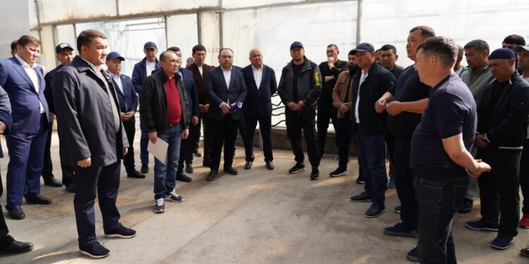 В ТУРКЕСТАНСКОЙ ОБЛАСТИ ВНЕДРЯЮТСЯ ЭКОЛОГИЧЕСКИ ЭФФЕКТИВНЫЕ СПОСОБЫ ОТОПЛЕНИЯ ТЕПЛИЦ