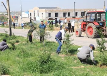 «ТАЗА ҚАЗАҚСТАН»: САРЫАҒАШТА ЭКОЛОГИЯЛЫҚ МӘДЕНИЕТТІ КӨТЕРУГЕ БАҒЫТТАЛҒАН АУҚЫМДЫ ТАЗАЛЫҚ ШАРАСЫ ӨТТІ