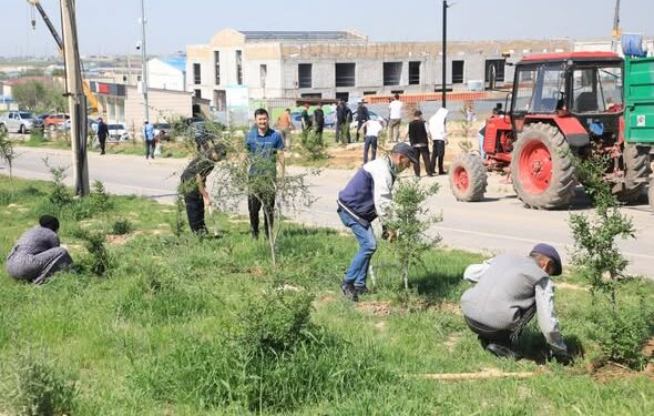 «ТАЗА ҚАЗАҚСТАН»: САРЫАҒАШТА ЭКОЛОГИЯЛЫҚ МӘДЕНИЕТТІ КӨТЕРУГЕ БАҒЫТТАЛҒАН АУҚЫМДЫ ТАЗАЛЫҚ ШАРАСЫ ӨТТІ