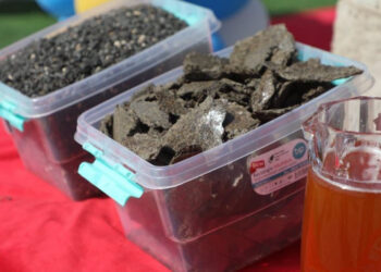 Сарыағаш ауданында жаңа өсімдік майы зауыты іске қосылды: 1 млрд теңгелік инвестициялық жоба өңір экономикасына серпін береді