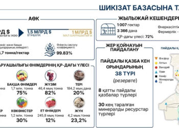 Түркістан өңірі агроөнеркәсіп саласы бойынша көш бастап тұр