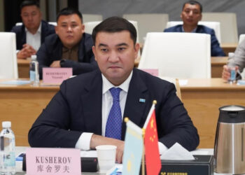 Түркістан облысы мен Wuhan Financial Holdings арасында әріптестік мәселелер талқыланды