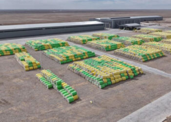Түркістан облысы мен қытайлық компаниялар арасындағы әріптестік жаңа деңгейге көтерілді