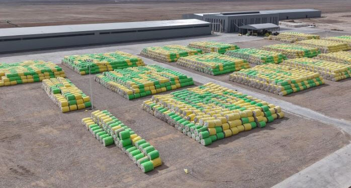 Түркістан облысы мен қытайлық компаниялар арасындағы әріптестік жаңа деңгейге көтерілді
