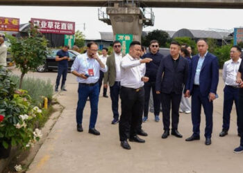 ТҮРКІСТАН: Қытай тәжірибесі өңірді көгалдандырудың жаңа кезеңіне жол ашады