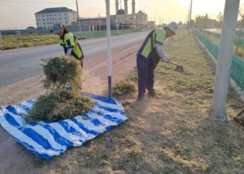 Арыста «Таза Қазақстан» акциясы аясында жалпықалалық сенбілік өтті