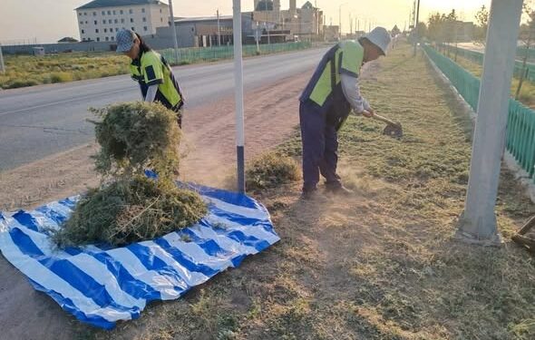 Арыста «Таза Қазақстан» акциясы аясында жалпықалалық сенбілік өтті