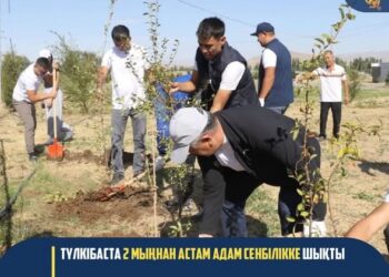 ТҮЛКІБАСТА 2 МЫҢНАН АСТАМ АДАМ СЕНБІЛІККЕ ШЫҚТЫ