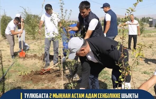 ТҮЛКІБАСТА 2 МЫҢНАН АСТАМ АДАМ СЕНБІЛІККЕ ШЫҚТЫ