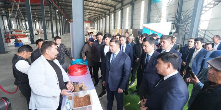В ТУРКЕСТАНСКОЙ ОБЛАСТИ ОТКРЫЛСЯ ЗАВОД ПО ПРОИЗВОДСТВУ АЛЮМИНИЕВЫХ КОМПОЗИТНЫХ ПАНЕЛЕЙ