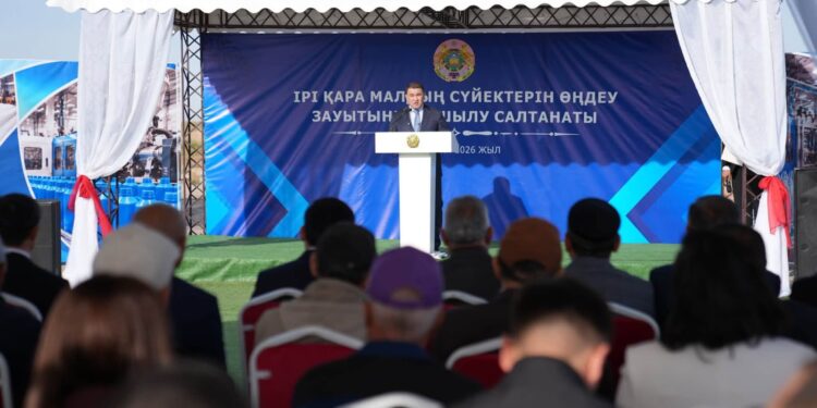 В ТУРКЕСТАНСКОЙ ОБЛАСТИ ЗАПУЩЕН ЗАВОД ПО ПЕРЕРАБОТКЕ КОСТЕЙ СКОТА СТОИМОСТЬЮ 9 МЛРД ТЕНГЕ