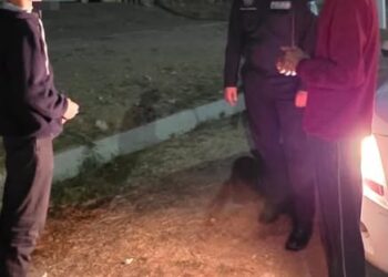ТҮНГІ РЕЙД ЖҰМЫСТАРЫ ЖҮРГІЗІЛДІ